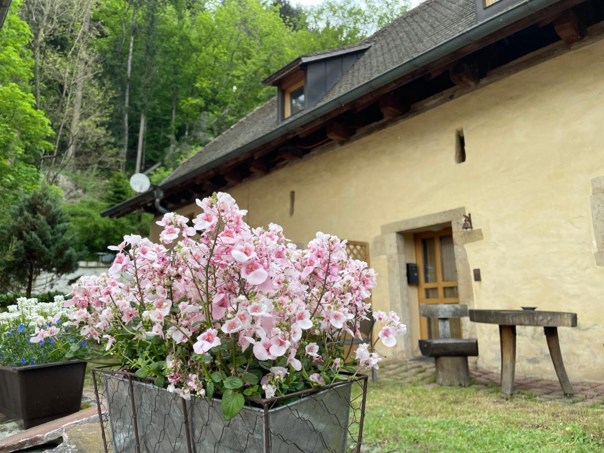 Bed & Breakfast Muellers Klostermuehle Münstertal Esterno foto